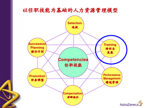 最新医药代表能力模型