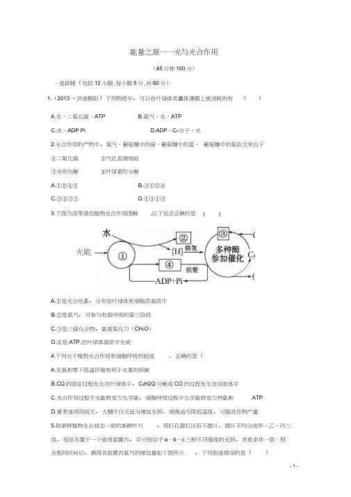 (安徽专用)2014版高考生物能量之源光与光合作用课时作业解析