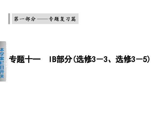 高考物理浙江专用专题复习篇专题十一IB部分1