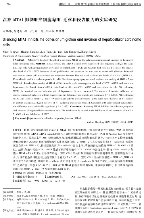 沉默mta1抑制肝癌细胞黏附、迁移和侵袭能力的实验研究