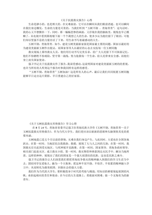 关于抗震救灾报告