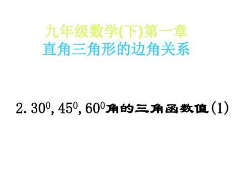 1.2 30度,45度,60度角的三角函数值 课件4--