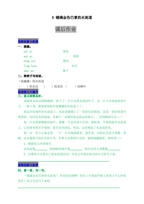 新部编版小学三年级语文上册5 铺满金色巴掌的水泥道 课后作业及答案