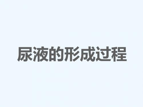 生物人教版七年级下册尿液的形成过程