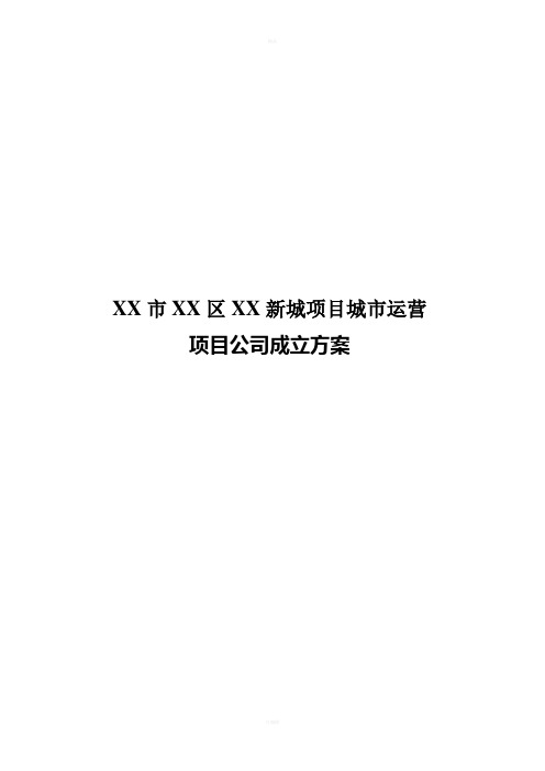 项目公司成立方案