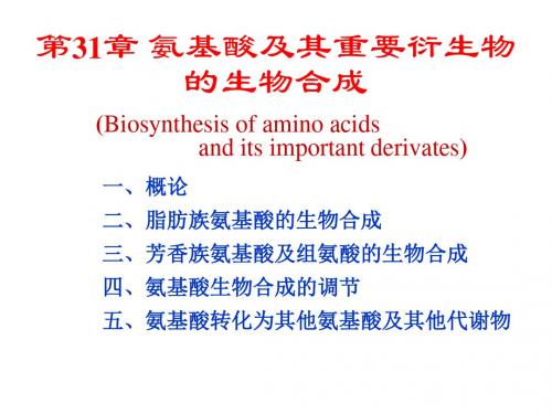 生物化学第31章