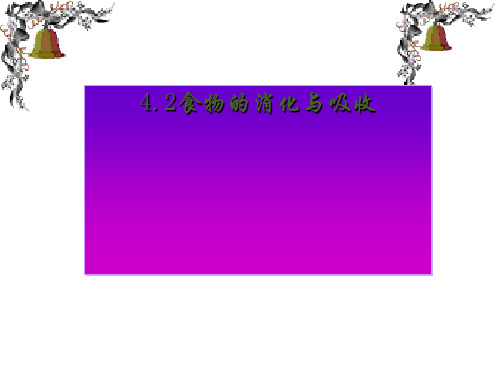 浙教版科学九上:4.2食物地消化和吸收