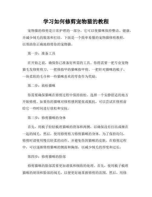 学习如何修剪宠物猫的教程