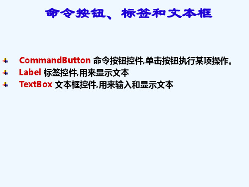 VB教程---命令钮标签文本框