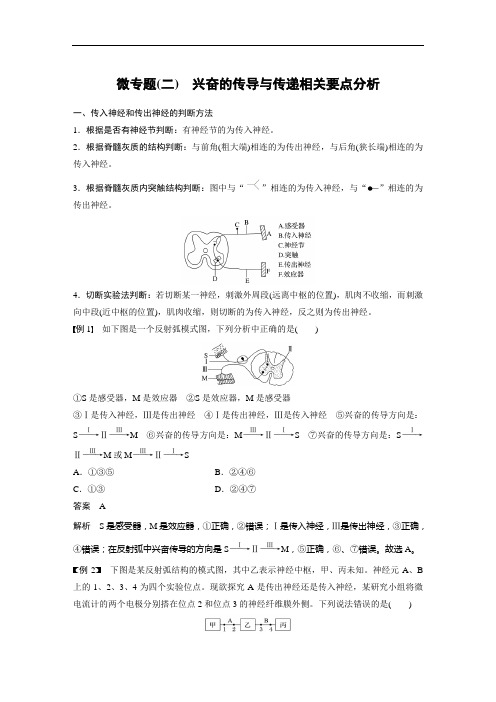 第2章 微专题(二) 兴奋的传导与传递相关要点分析