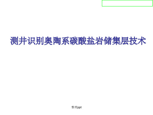 测井识别奥陶系碳酸盐岩储集层技术