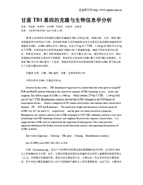 甘蔗TB1基因的克隆与生物信息学分析