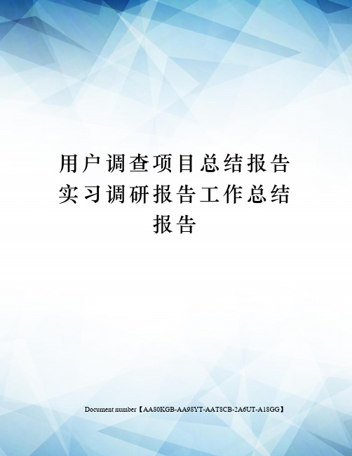 用户调查项目总结报告实习调研报告工作总结报告