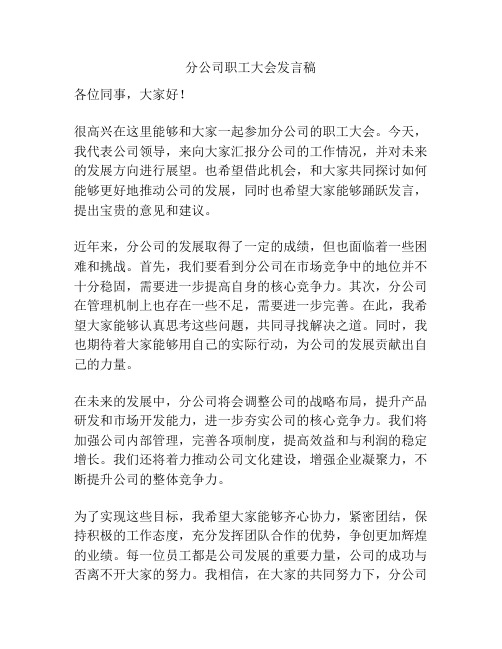 分公司职工大会发言稿