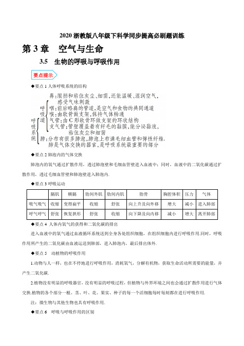 3.5生物的呼吸与呼吸作用(原卷版+解析)