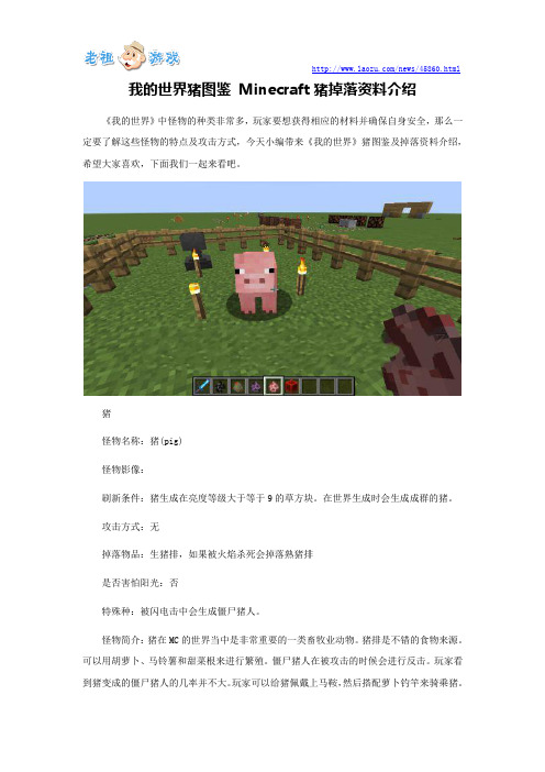 我的世界猪图鉴 Minecraft猪掉落资料介绍