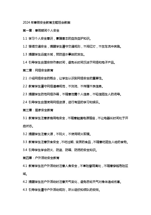 xx年寒假安全教育主题班会教案