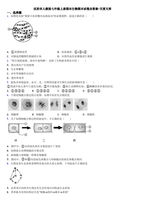 沈阳市人教版七年级上册期末生物期末试卷及答案-百度文库