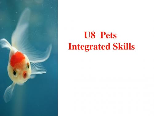 牛津译林版英语七下Unit8 Integrated skills (共34张PPT)