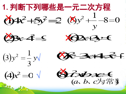 北师大九年级数学上册《一元二次方程》课件(共17张PPT)