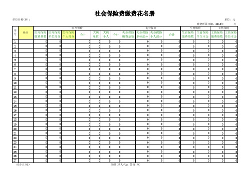 社会保险申报花名册 空表