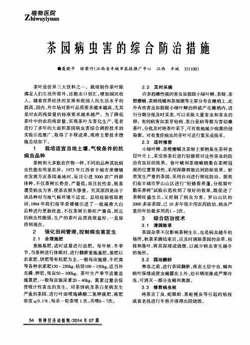 茶园病虫害的综合防治措施