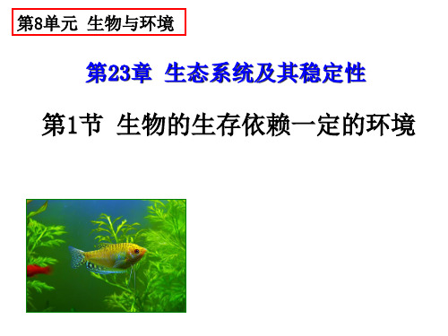 北师大版八年级下册2生物的生存依赖一定的环境课件