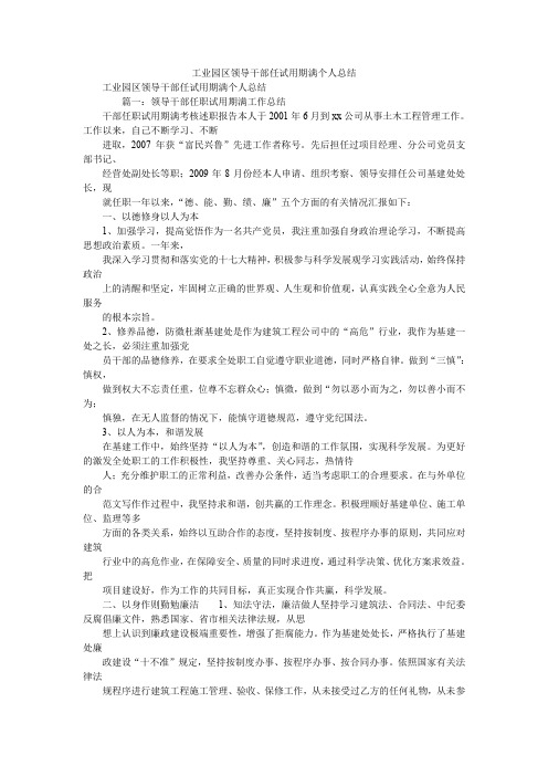 2019精选工业园区领导干部任试用期满个人总结