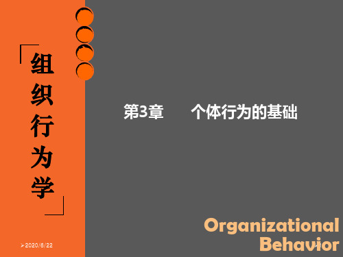 组织行为学 第3章 个体行为的基础