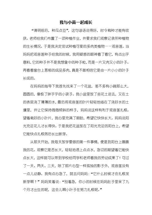 四年级作文：我与小苗一起成长作文800字