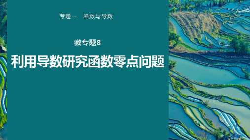 高考数学专题一 微专题8 利用导数研究函数零点问题