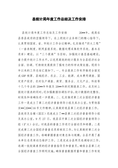 县统计局年度工作总结及工作安排