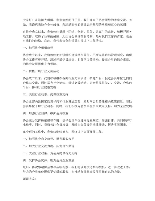 欢迎协会领导考察交流发言稿