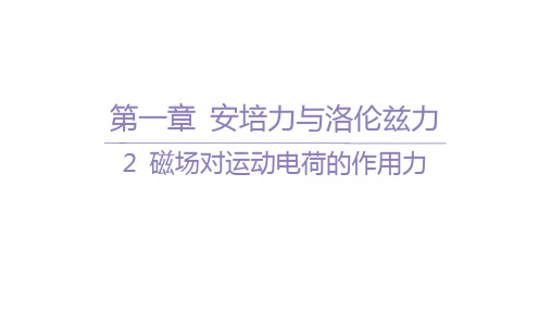 人教版高中物理选择性必修第二册精品课件 第一章 安培力与洛伦兹力 2 磁场对运动电荷的作用力