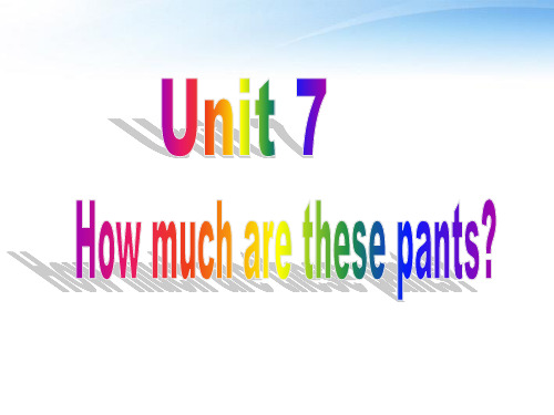 七年级英语上册 unit7 How much are these pants_课件 人教新目标版