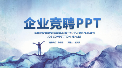 人力资源总监竞聘演讲汇报报告PPT