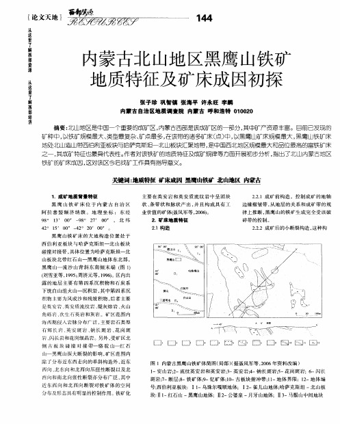 内蒙古北山地区黑鹰山铁矿地质特征及矿床成因初探