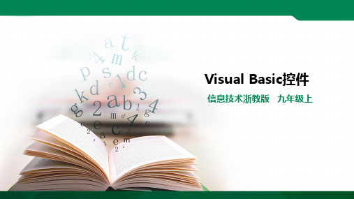 第四课 Visual Basic 控件(课件ppt）