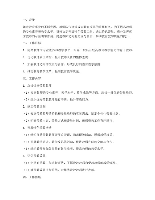 教师特色带教工作计划