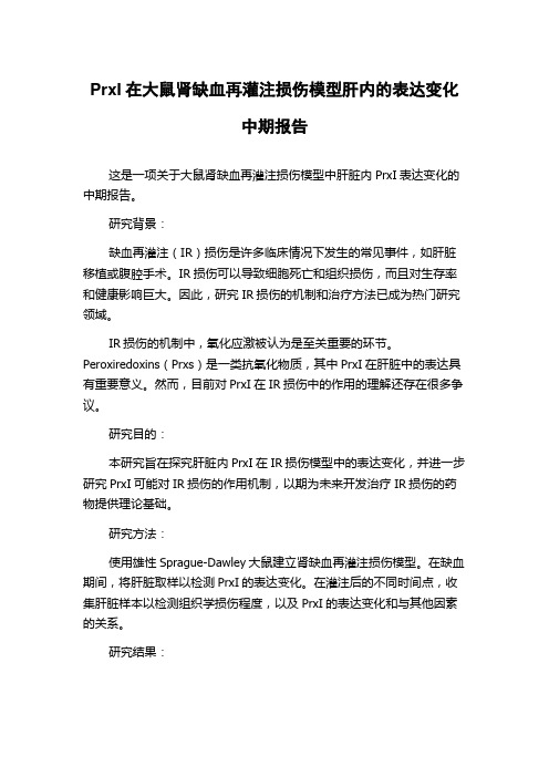 PrxI在大鼠肾缺血再灌注损伤模型肝内的表达变化中期报告