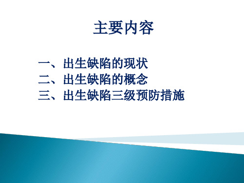 出生缺陷三级预防 (2)共30页文档