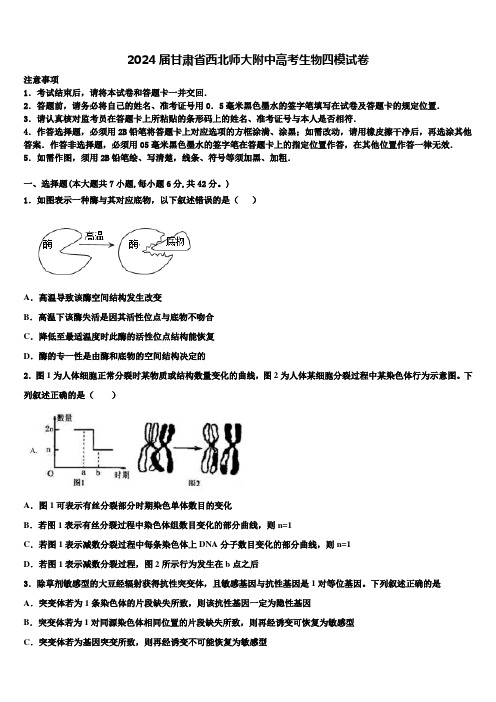 2024届甘肃省西北师大附中高考生物四模试卷含解析