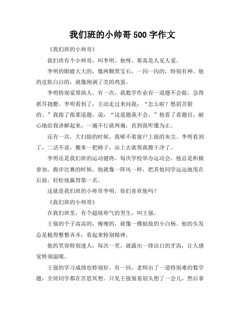 我们班的小帅哥500字作文