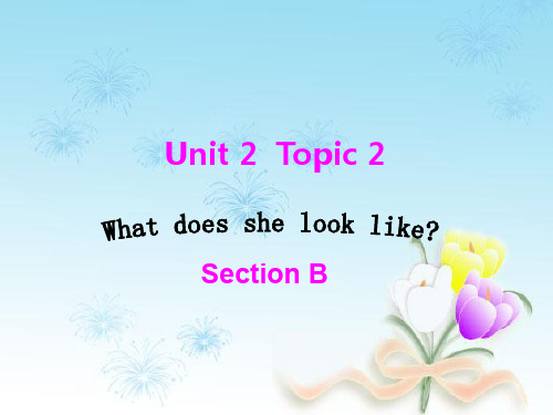 仁爱版初中英语七年级上册Unit 2Topic 2 What does she look lik(2)