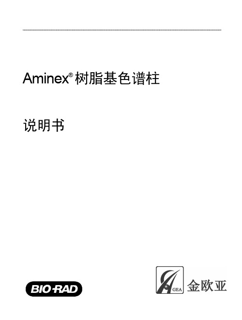 Amenix 中文说明 -终