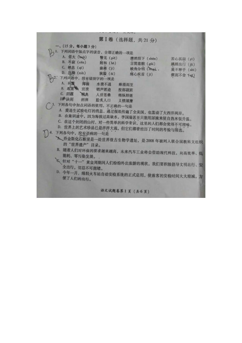 四川省绵阳市2016年中考语文试题