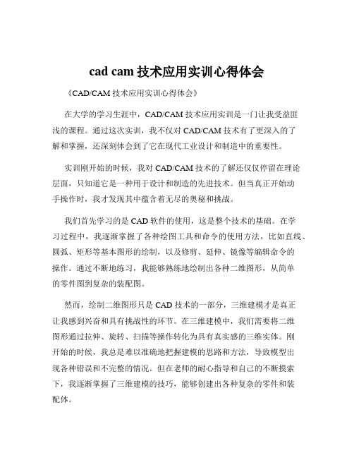 cad cam技术应用实训心得体会