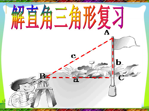 新浙教版九年级数学下册第一章《解直角三角形(复习)》公开课课件