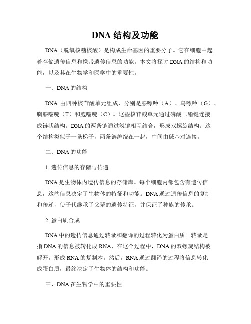 DNA结构及功能