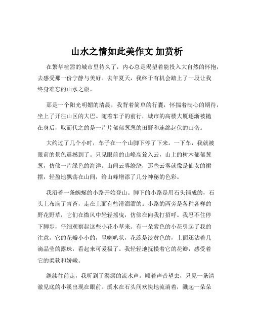 山水之情如此美作文 加赏析